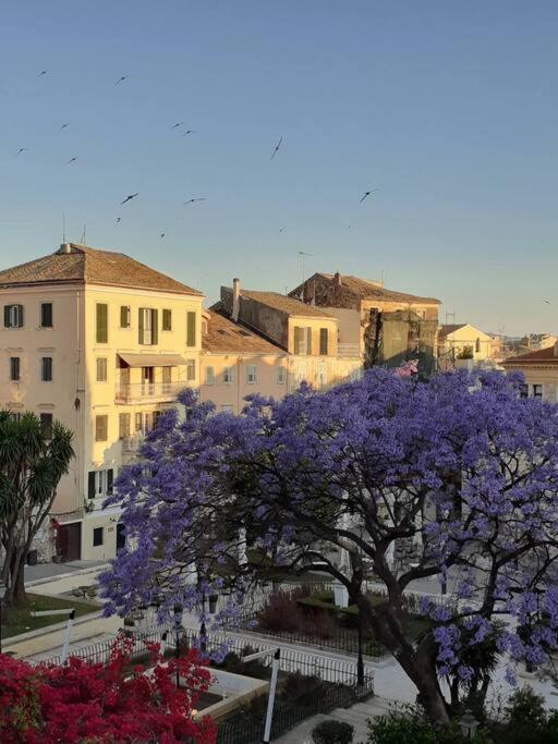 Old Town Corfu Romantic Studio Manto Nymfes Apartment Екстериор снимка