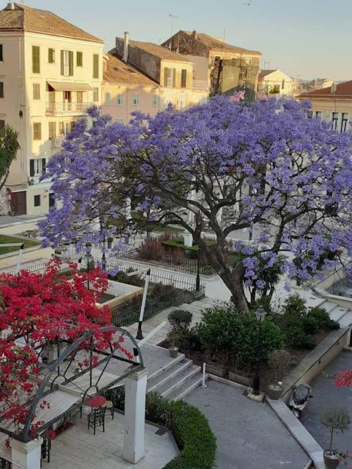 Old Town Corfu Romantic Studio Manto Nymfes Apartment Екстериор снимка