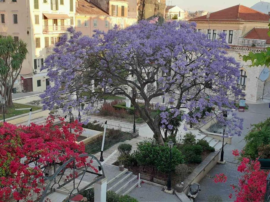 Old Town Corfu Romantic Studio Manto Nymfes Apartment Екстериор снимка