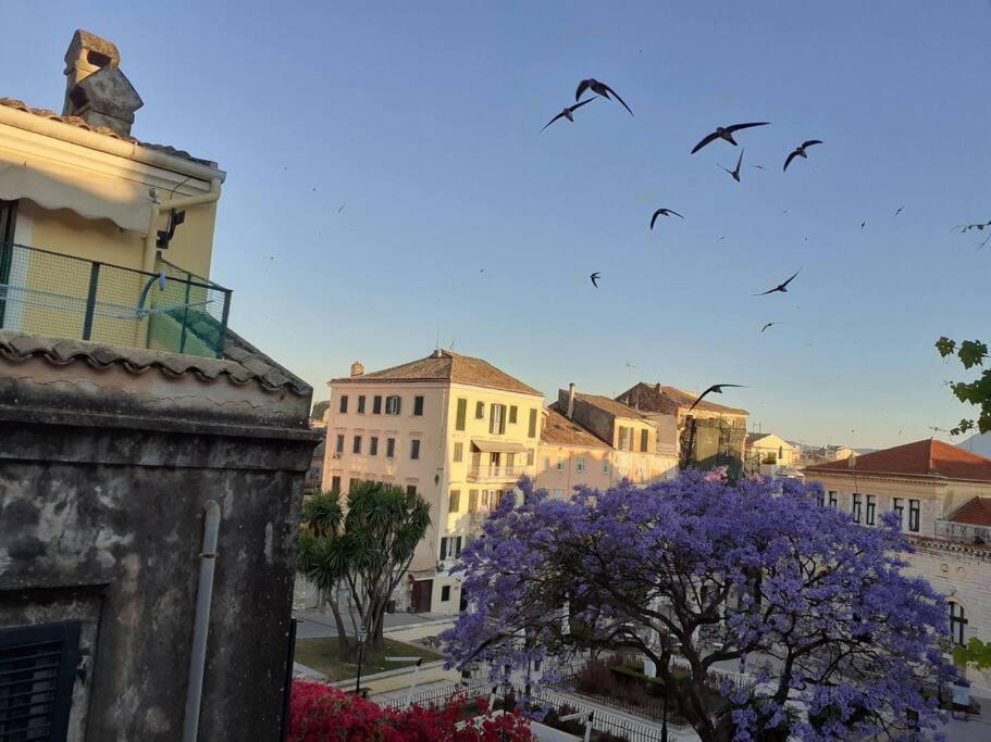 Old Town Corfu Romantic Studio Manto Nymfes Apartment Екстериор снимка